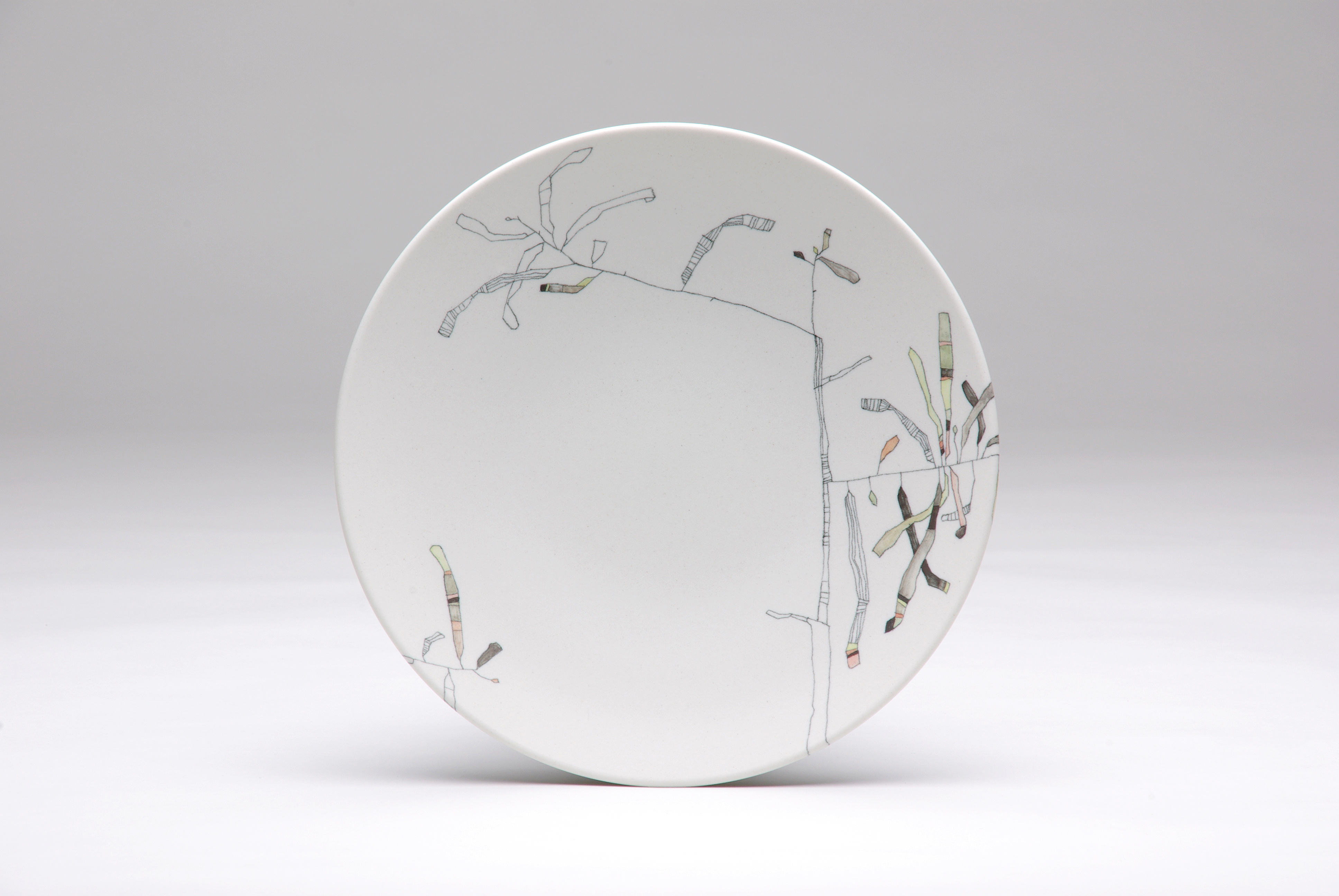 tania rollond banksia plate 2016
